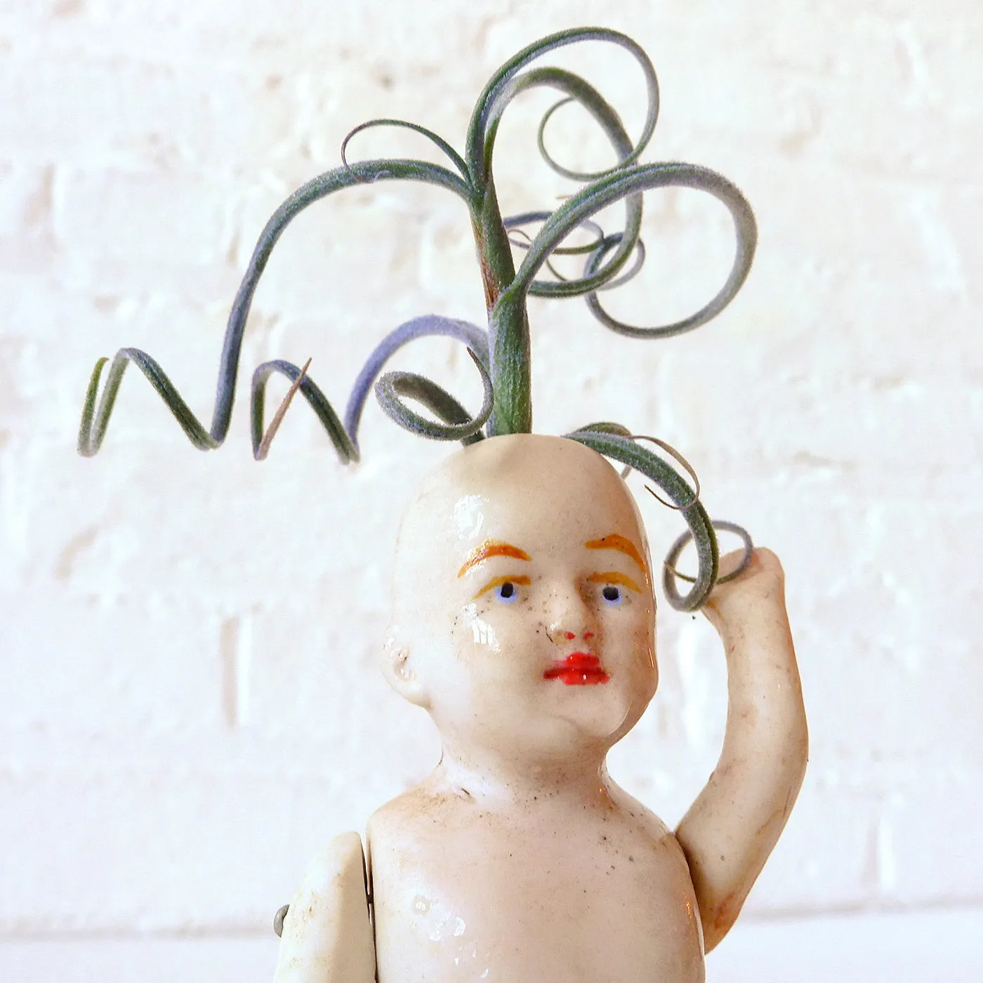 30% SALE Clown Boy Air Plant Garden Antique German Bisque Doll