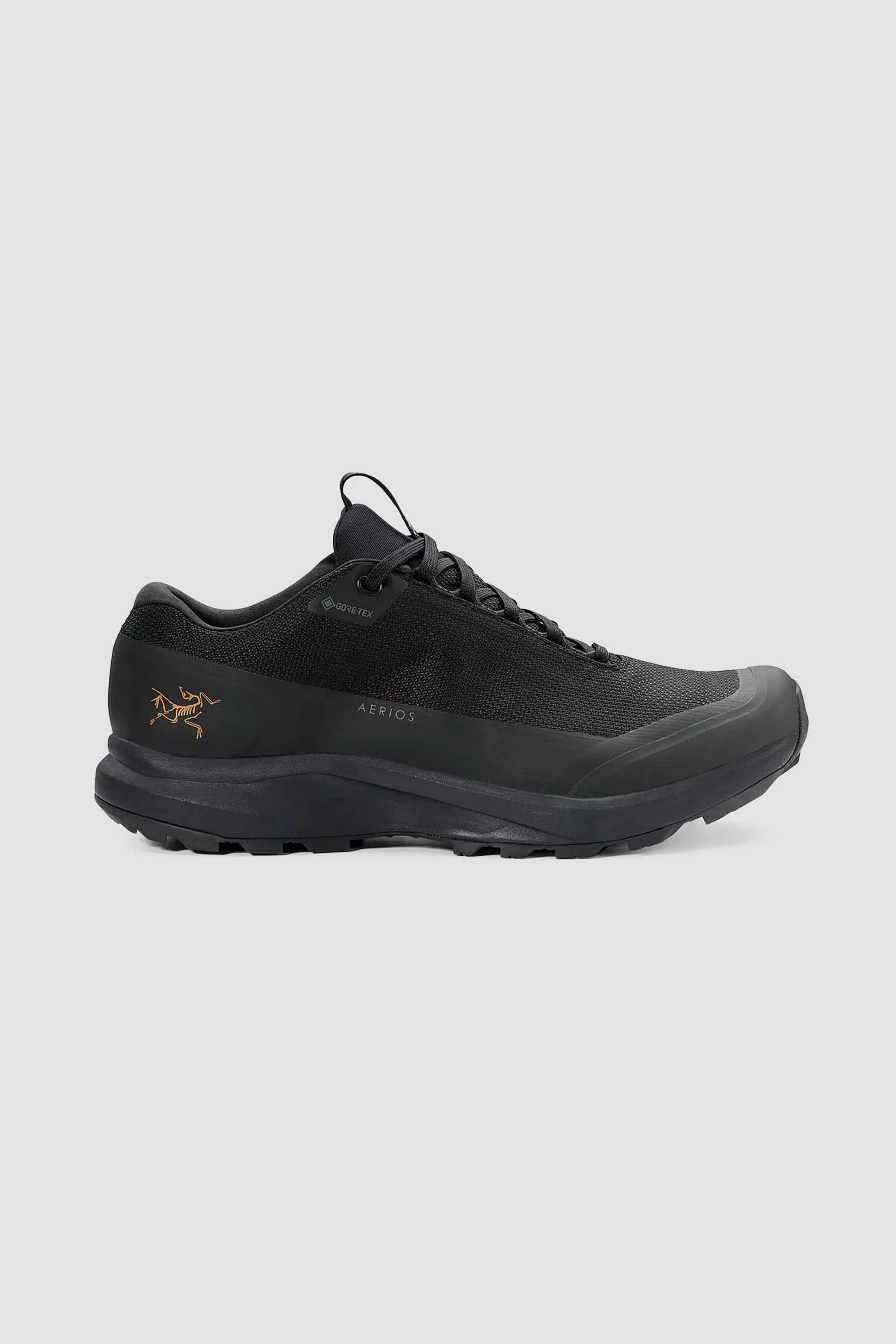 Arc'teryx Women's Aerios FL 2 GTX in Black/Black