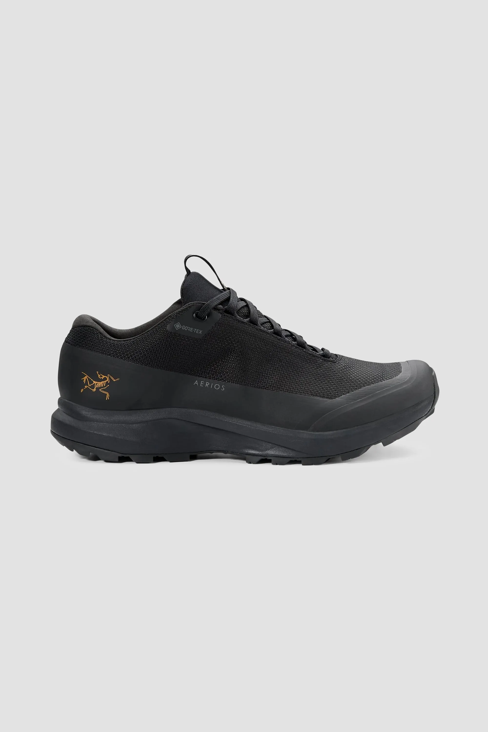 Arc'teryx Women's Aerios FL 2 GTX in Black/Black