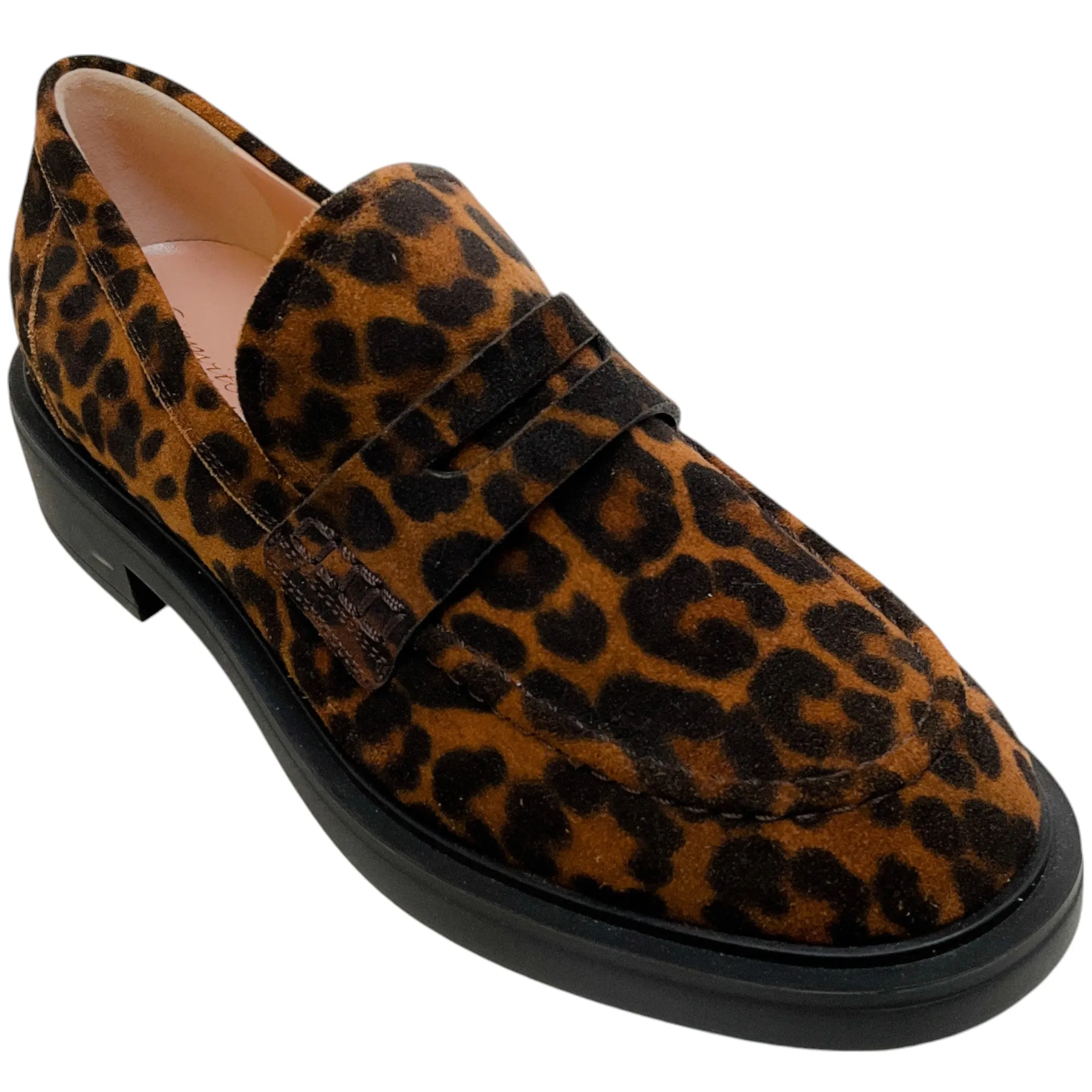 Gianvito Rossi Leopard Suede Harris Loafers