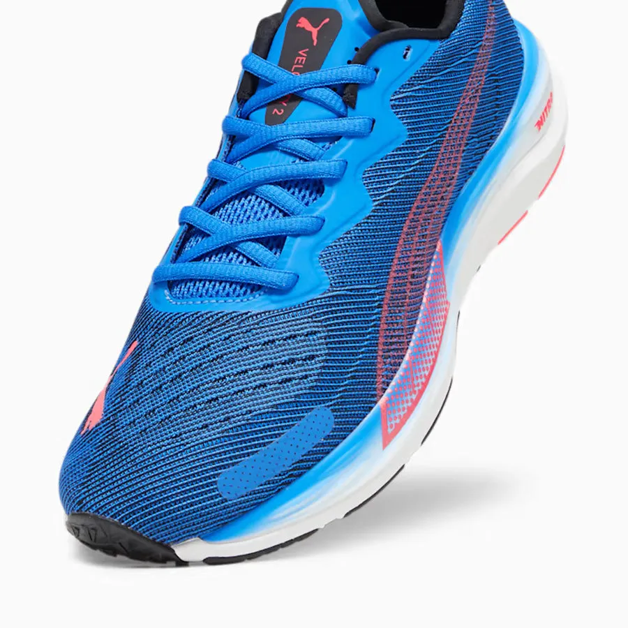 Men's Velocity Nitro 2 (Ultra Blue/Fire Orchid)