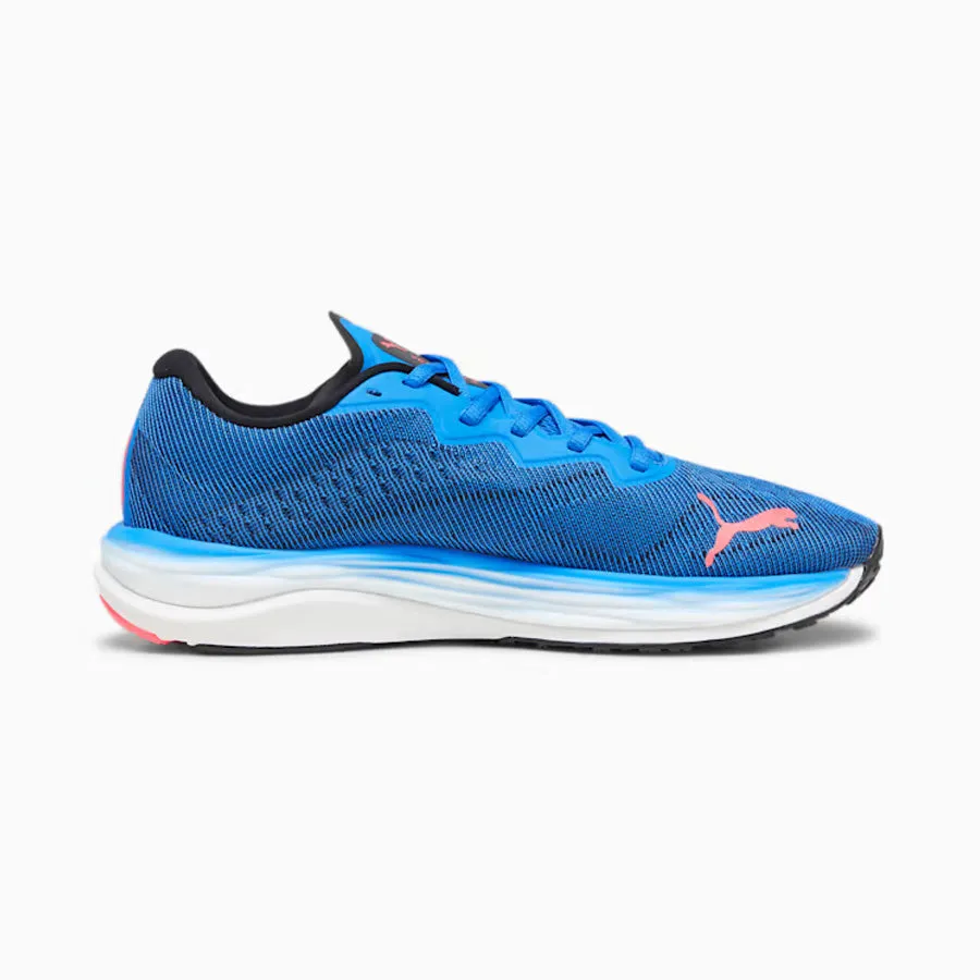 Men's Velocity Nitro 2 (Ultra Blue/Fire Orchid)