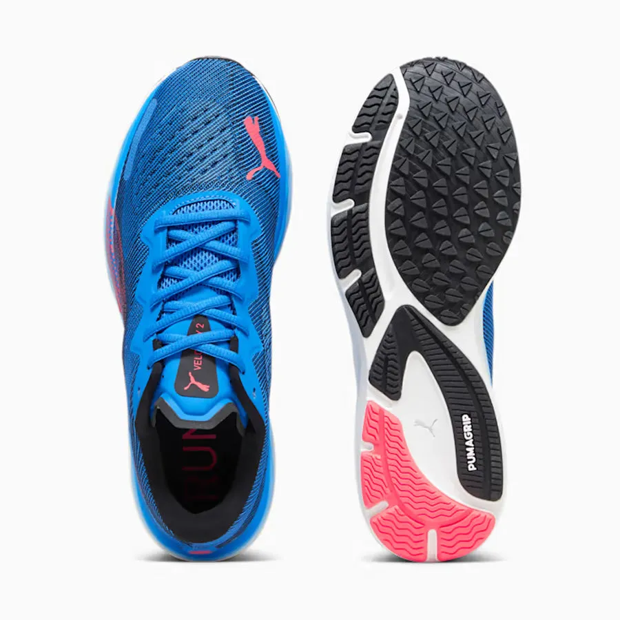 Men's Velocity Nitro 2 (Ultra Blue/Fire Orchid)