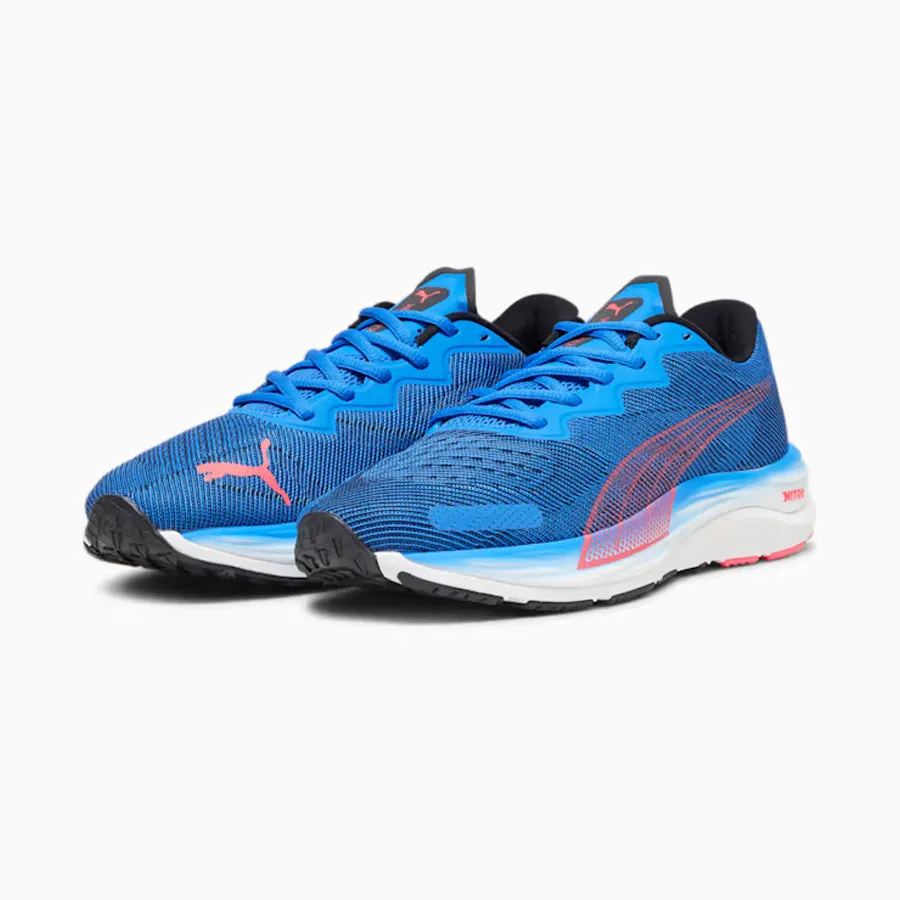 Men's Velocity Nitro 2 (Ultra Blue/Fire Orchid)