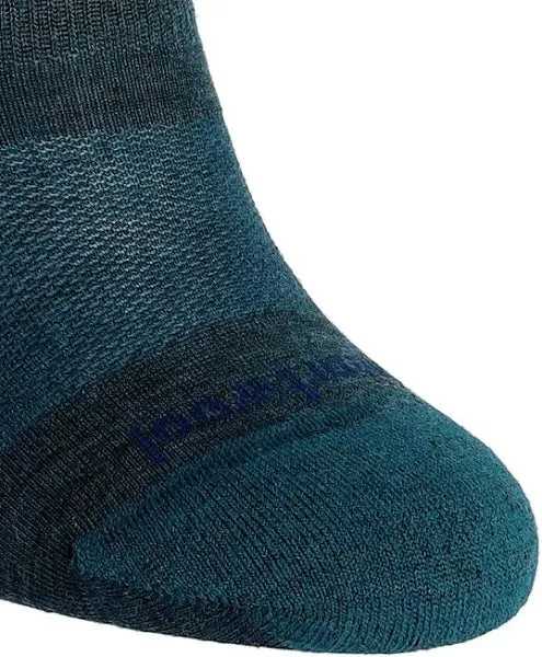 Smartwool Everyday No Show Socks